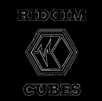 Riddimcubes GIF by heartbeat
