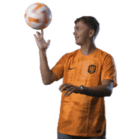 HuisVanOranje voetbal dutch nederland holland Sticker