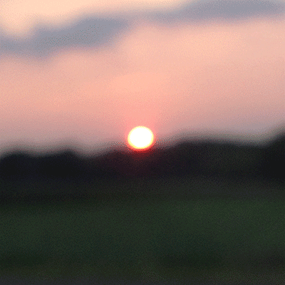 Art Escape GIF by dinakelberman