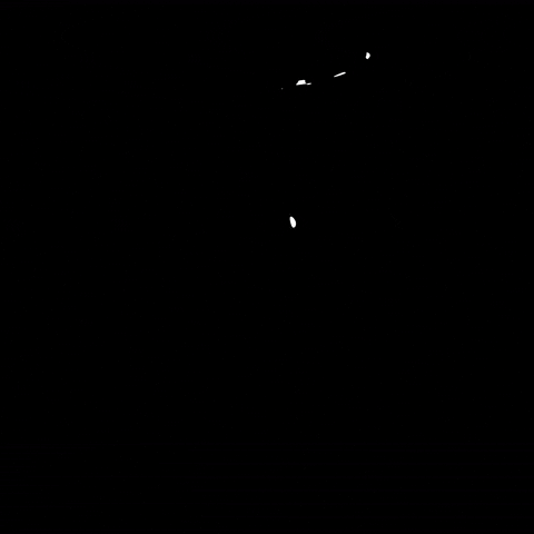 McFarlandPro giphyupload GIF