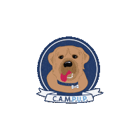 charlottelatinsummerdaycamps fisher cls charlotte latin latin camps Sticker