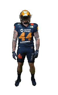 Football Sport Sticker by Dresden Monarchs