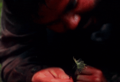 MootorsaedLaulsid giphyupload killer rebirth lill GIF