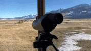 montana GIF