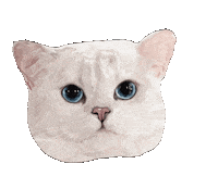 White Cat Cats Sticker by Floofsy