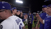 Will Smith Sport GIF by MLB