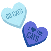 cat love Sticker by University of Kentucky