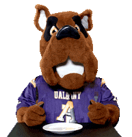 Hungry Great Dane Sticker by UAlbany