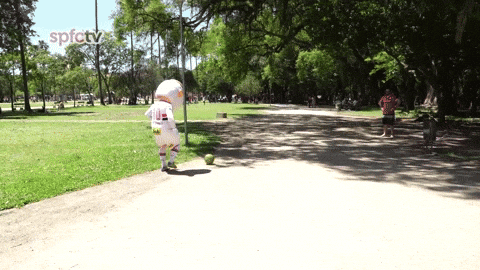 mascote santo paulo GIF by São Paulo FC