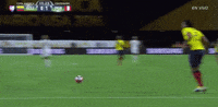 Copa America Centenario Peru GIF by Univision Deportes