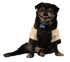 Dog Panting Sticker by Originals