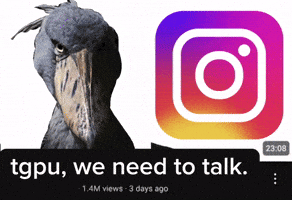 Tgpu GIF