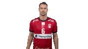 Handball-Bundesliga Handball Sticker by LIQUI MOLY HBL