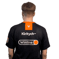 Ti Dota Sticker by Virtus.pro