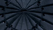 music festival dance GIF by Insomniac Events