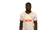 Happy Rb Leipzig Sticker by Bundesliga