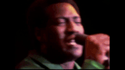 king of soul GIF by Otis Redding
