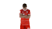 Look Up Sticker by FC Bayern Munich