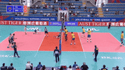 Surprise Italy GIF by Volleyball World