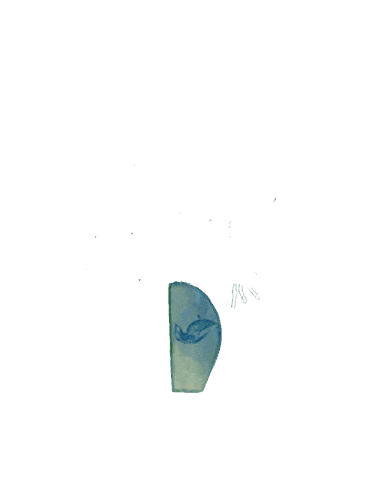 Oasis Sticker by SeoulGypsy