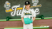 College Baseball Adam GIF by GreenWave