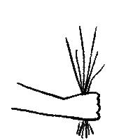 flowers GIF by Colore_g