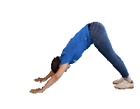 therapiezentrum yoga pilates therapy physio Sticker