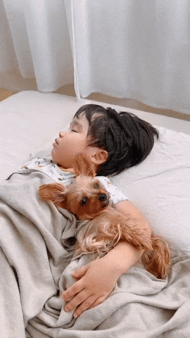 cuteanimalland giphyupload GIF