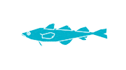 Fish Korea Sticker