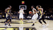 Iowa Hawkeyes GIF by University of Iowa Hawkeyes Athletics