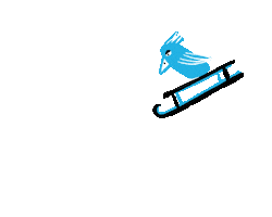 Rebexi winter bird sleigh sledding Sticker