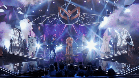 fox tv GIF by The Masked Singer