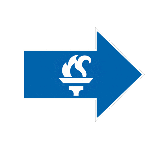 Arrow Universitat Sticker by FUEIB