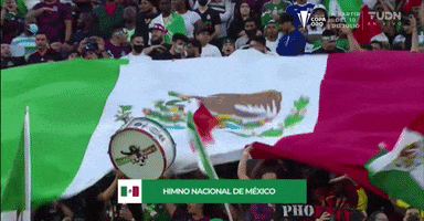 Liga Mx Football GIF by MiSelecciónMX