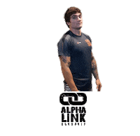 Fitness Workout Sticker by Alpha Link Crossfit