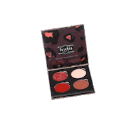 thefuschiaeffect makeup eyeshadow fuschia fuschiamakeup Sticker
