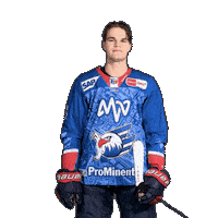 Heim Sticker by Adler Mannheim