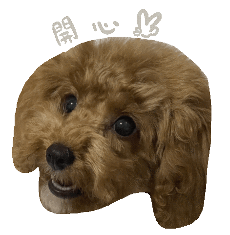 pinkpink53520 giphyupload happy hi puppy Sticker