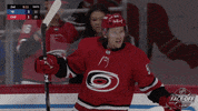 Ice Hockey Sport GIF by NHL