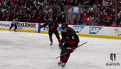 Happy Stanley Cup Playoffs GIF by NHL