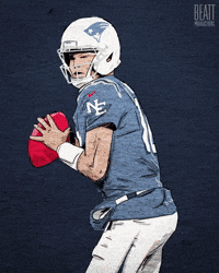 New England Patriots Football GIF