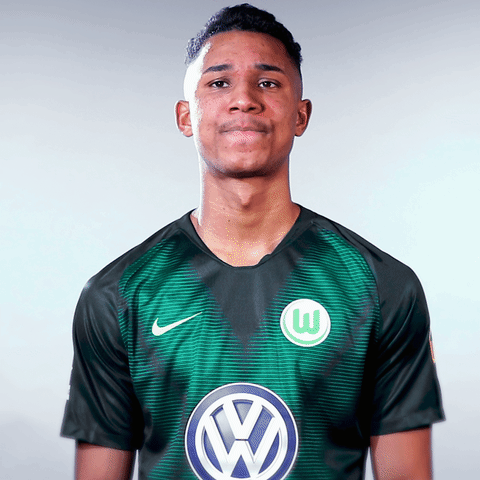 Felix Uduokhai Football GIF by VfL Wolfsburg