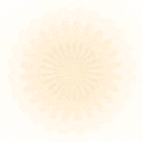 Kid GIF by Plaza Navona