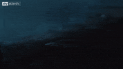 season 8 GIF by Sky