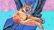 happy cat GIF by Ghostqiao