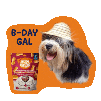 Happy Dog Sticker by Awesome Pawsome Treats