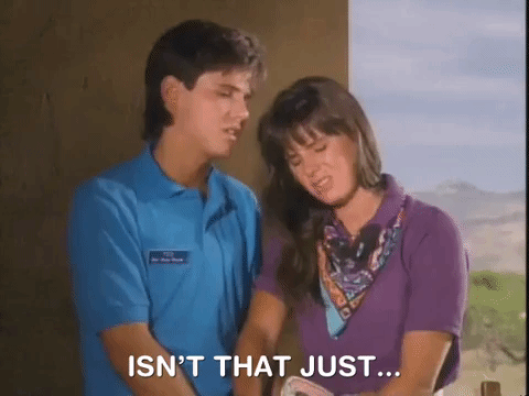 hey dude nicksplat GIF