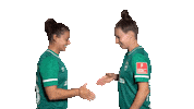 Celebration Sticker by SV Werder Bremen