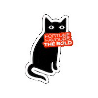 BoldOne_team cat fortune blackcat boldone Sticker