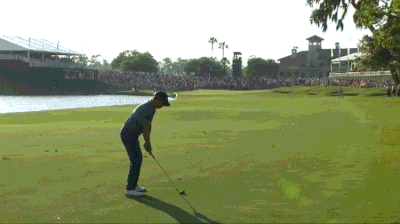 pga tour GIF